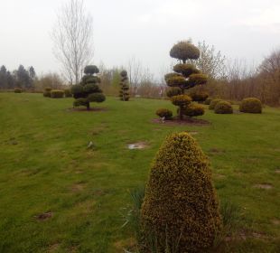 thailand porno Ilsenburg (Saxony-Anhalt) thailand porno Ilsenburg (Saxony-Anhalt)