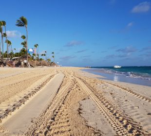 Hotelbilder Iberostar Punta Cana Bavaro Holidaycheck