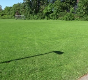 Sportplatz 1 (Rasen) Herlazhofer