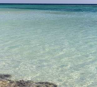 Paradise - wycieczka