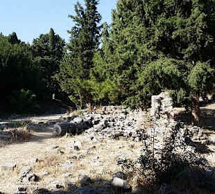 Ausgrabung in Kos-Stadt