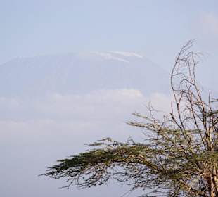 Noch ca. 50 Km bis zum Kilimandscharo