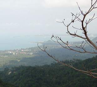 Blick zu Meer