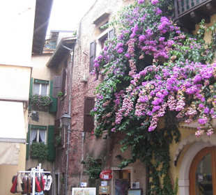 Torri del Benaco