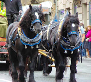 Erntedankfestzug 2012 Fürth