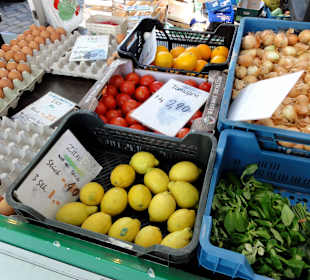 Rundgang über den Wochenmarkt Findorff
