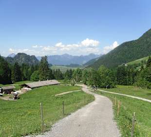 Aschinger Alm