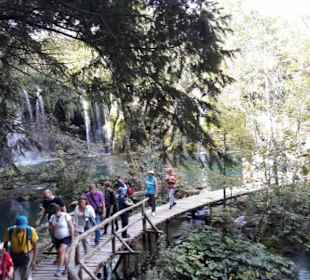 Schmale Stege führen übers Wasser