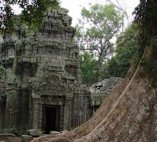 Ta Prohm Tempel