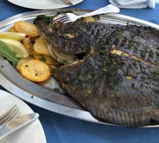 Fischplatte außen verbrannt/ innen roh 