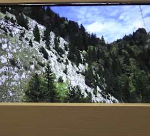 Heimatschutzzentrum in der Villa Patumbah