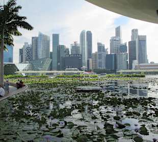 Widok z muzeum ArtScience