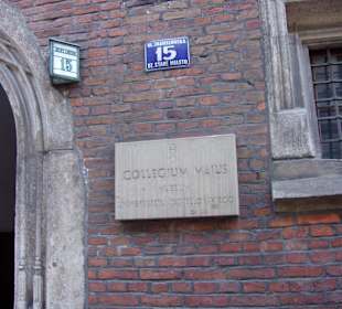 Collegium Maius UJ, wejście