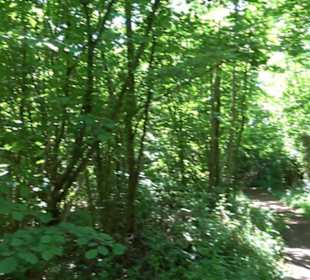 Wanderweg Sieben-Täler-Runde 