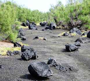 Wanderung auf dem Sentier Littoral Sud-Ouest