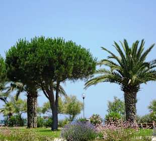 Impressionen von der Strandpromenade Argelès-Plage