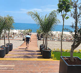 Strand