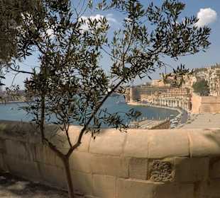 Fort Manoel