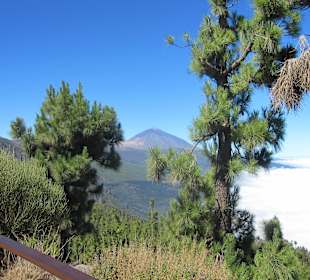Der Teide - super toll (finde ich.....)