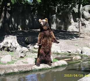 Tierpark Hagenbeck