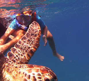 Abu Dabab 28.08.2014