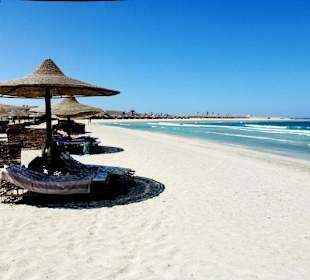 Marsa Alam - Delfinschwimmen Yasser-Delfine Hurghada