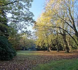 Herbstspaziergang durch den Schlosspark Lütetsburg