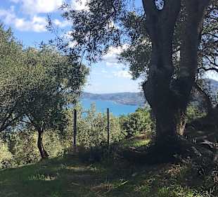 Inselrundfahrt Korfu