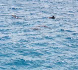 Kariobikfeelingtour / Sandbank