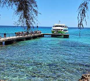 Glasbodenboot Tour Cala Millor