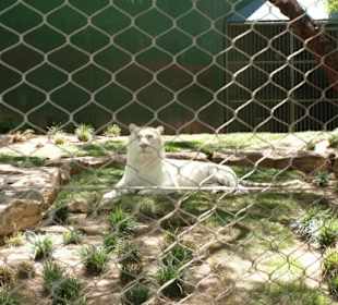 Einer der Attraktionen