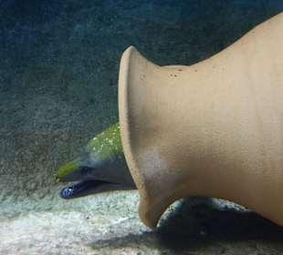 Zoo Wrocław
