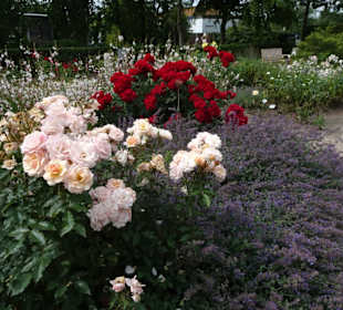 Impressionen aus dem Park der Gärten