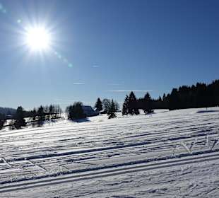 Wandern Neuhaus am Rennweg