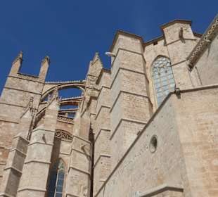 Kathedrale La Seu aus der Nähe