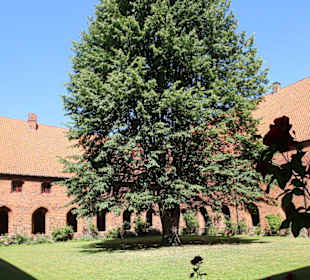 Blick in den Innenhof vom Kreuzgang