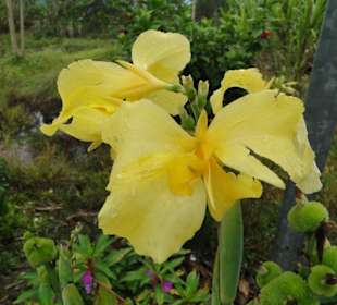 Wildlife Expeditions