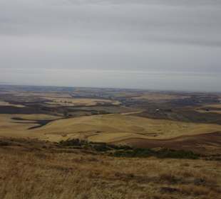 The Palouse