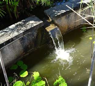 Spaziergang durch den Botanischen Garten Mascarin