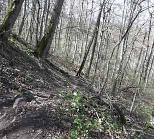 Wanderweg Hochgehkämpft