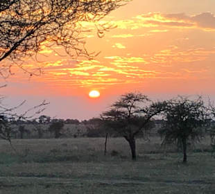Sonnenuntergang in der Serengeti