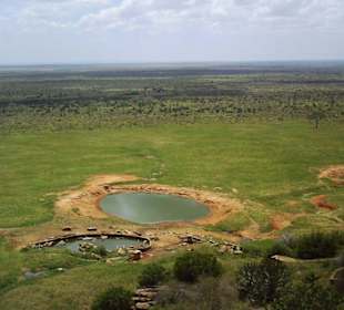 Wasserloch im Tsavo Ost