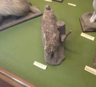 Heimatmuseum Oberstdorf