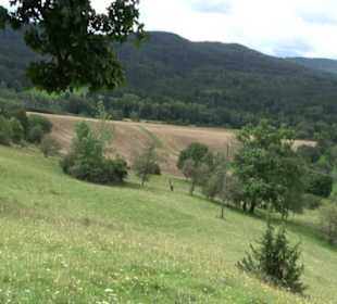 Themenweg Kaiserweg Zimmern