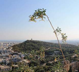 Góra Filopapu w oddali