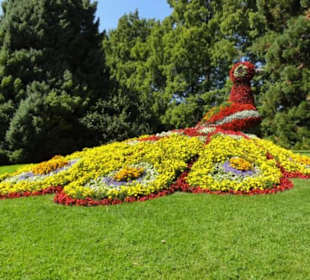 Insel Mainau 08/2017