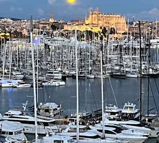 Hafen Palma de Mallorca 