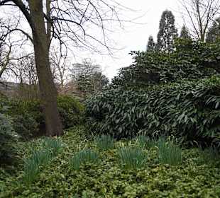 Anlage Planten un Blomen