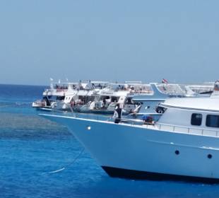 Schnorcheln Hurghada