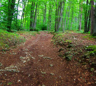Auf-Abstieg Adlerstein Panorama